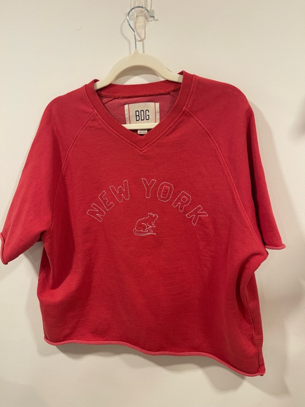 BDG Red V-Neck Pullover Sweatshirt